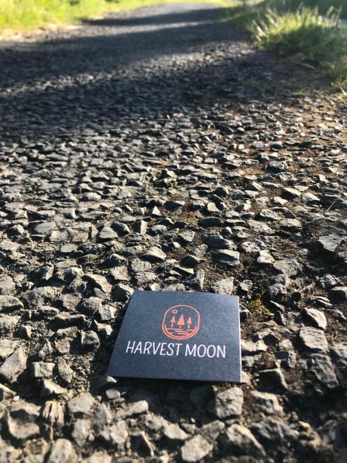 Harvest Moon Bed and Breakfast Doolin Εξωτερικό φωτογραφία
